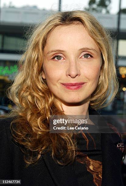 Julie Delpy during "We Don't Live Here Anymore" Los Angeles Premiere - Red Carpet at Director's Guild of America Theatre in Hollywood, California,...