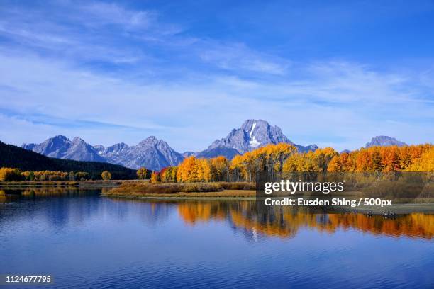 oxbow bend fall colors - oxbow bend stock-fotos und bilder