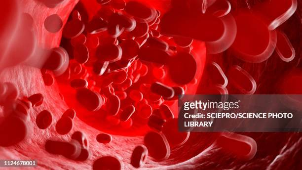 stockillustraties, clipart, cartoons en iconen met illustration of human blood cells - capillary body part