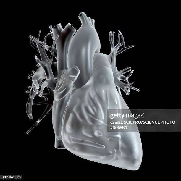 illustration of glass heart - atrium heart stock illustrations