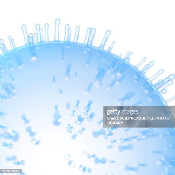 Atp Cell View 60 Atp Molecule Stock Photos, High-Res Pictures, and Images - Getty Images
