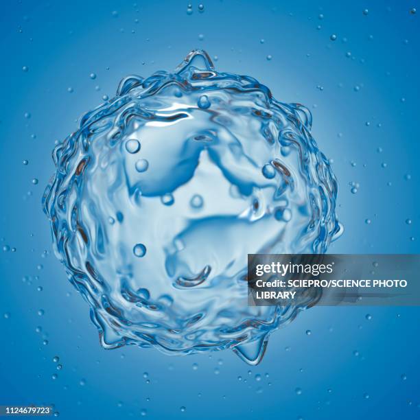 stockillustraties, clipart, cartoons en iconen met illustration of an eosinophil - white blood cells