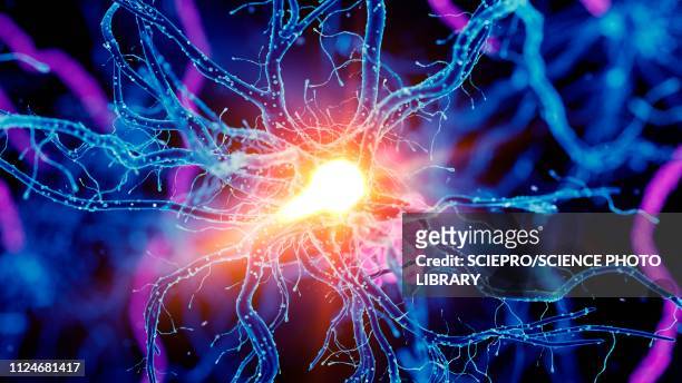 illustration of a nerverticale cell - neurons brain stock pictures, royalty-free photos & images
