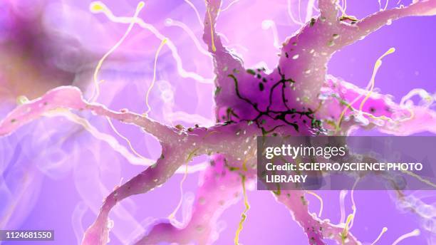 stockillustraties, clipart, cartoons en iconen met illustration of a damaged nerverticale cell - protein