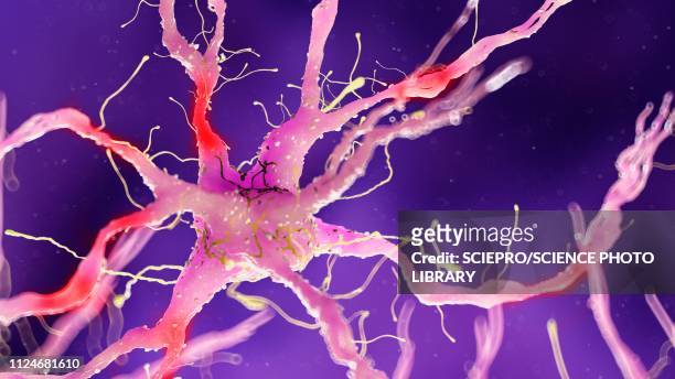 stockillustraties, clipart, cartoons en iconen met illustration of a damaged nerverticale cell - menselijk zenuwstelsel