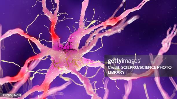 illustration of a damaged nerverticale cell - neurodegenerative disease stock illustrations