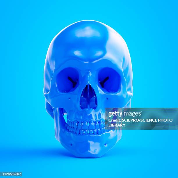 ilustrações, clipart, desenhos animados e ícones de illustration of a blue skull - morte