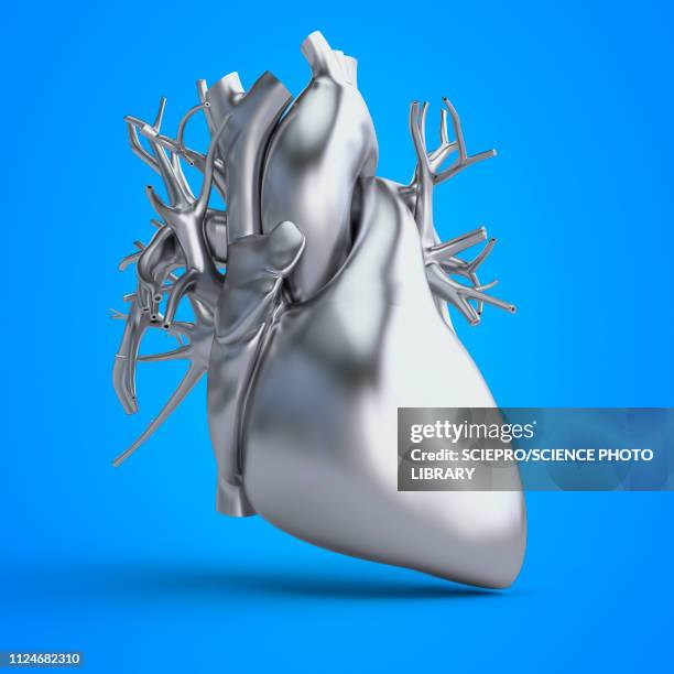 ilustraciones, imágenes clip art, dibujos animados e iconos de stock de illustration of a heart - myocardium