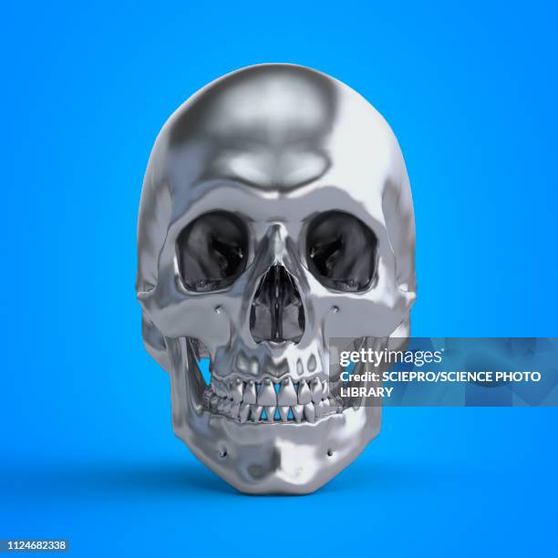 illustration of a skull - skulls stock illustrations