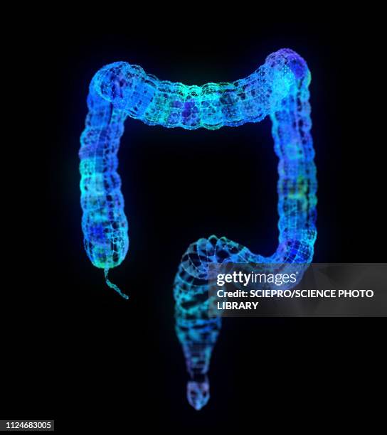 illustration of an abstract plexus colon - colon stock illustrations