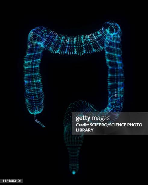 ilustraciones, imágenes clip art, dibujos animados e iconos de stock de illustration of an abstract plexus colon - colon