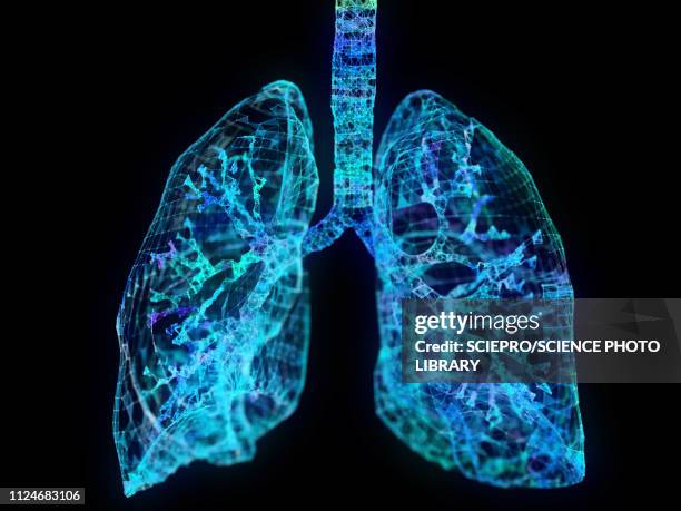 illustration of a plexus lung - triangle shape stock illustrations