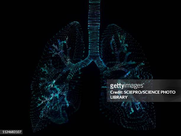illustration of a plexus lung - technology stock illustrations