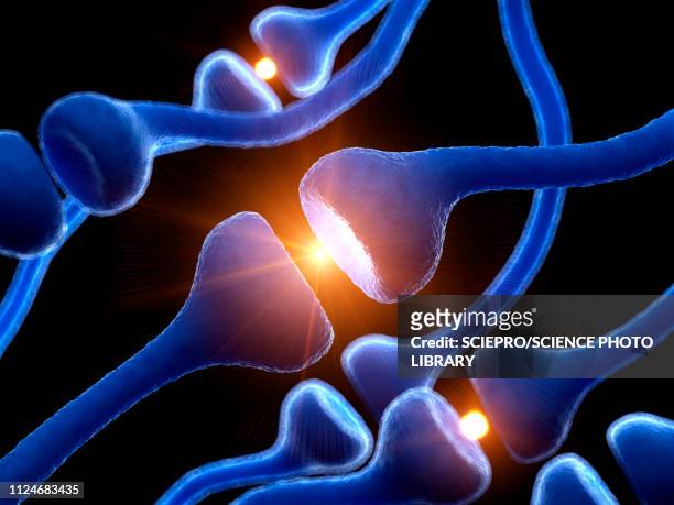 illustration of human receptors - brain cells stock-grafiken, -clipart, -cartoons und -symbole