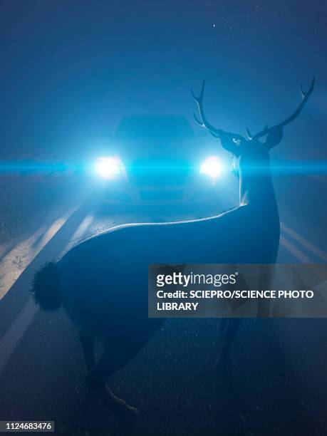 stockillustraties, clipart, cartoons en iconen met illustration of a deer in front of a car - animal crossing sign