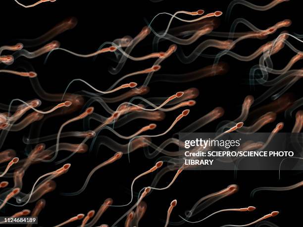 stockillustraties, clipart, cartoons en iconen met illustration of human sperm - artificial insemination