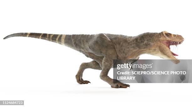 stockillustraties, clipart, cartoons en iconen met illustration of a t-rex - tyrannosaurus rex