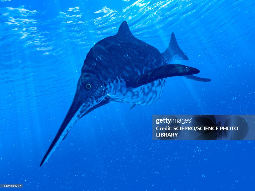 Illustration of a Shonisaurus