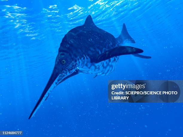 illustration of a shonisaurus - shonisaurus stock illustrations