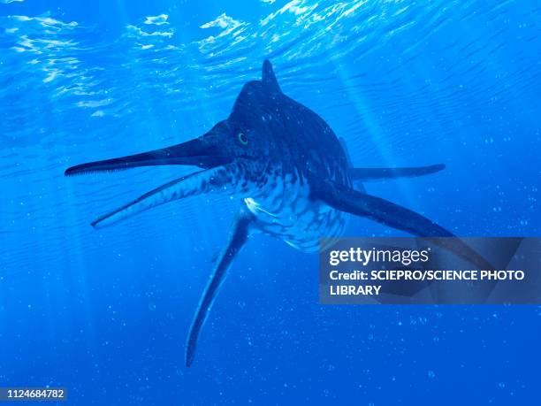 illustration of a shonisaurus - shonisaurus stock illustrations