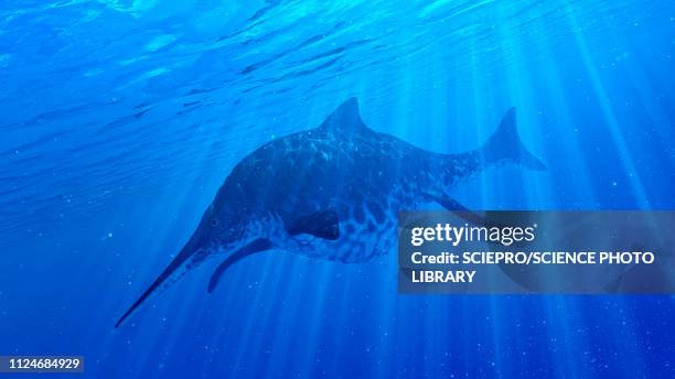 illustration of a shonisaurus - shonisaurus stock illustrations