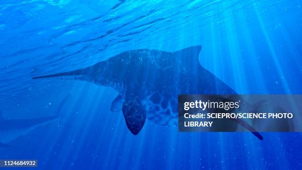 illustration of a shonisaurus - shonisaurus stock illustrations