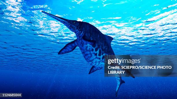 illustration of a shonisaurus - shonisaurus stock illustrations