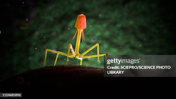 illustration of bacteriophage - バクテリオファージ点のイラスト素材／クリップアート素材／マンガ素材／アイコン素材