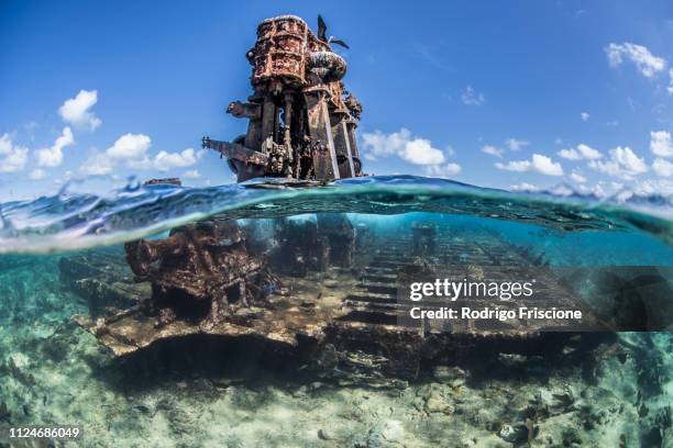 reef life and old wrecks, alacranes, campeche, mexico - gulf of mexico stock-fotos und bilder