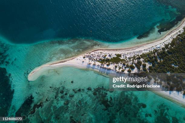 reef life and cay, alacranes, campeche, mexico - campeche stock pictures, royalty-free photos & images