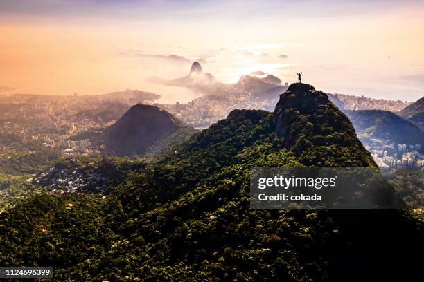 rio de janeiro landscape - praia de copacabana imagens e fotografias de stock