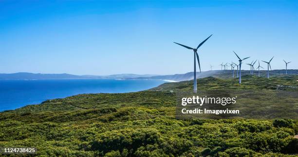 wind turbines on a wind farm, albany, western australia, australia - albany western australia photos et images de collection
