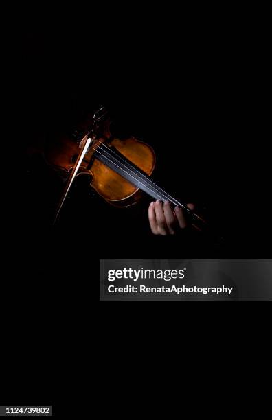 close-up of a woman's hands playing the violin - violin family stock-fotos und bilder