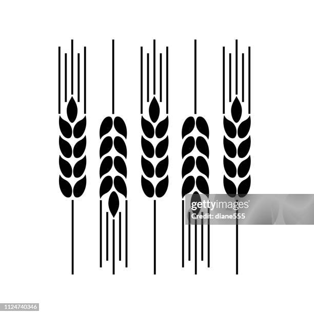 weizen-design-element - weizenähre stock-grafiken, -clipart, -cartoons und -symbole