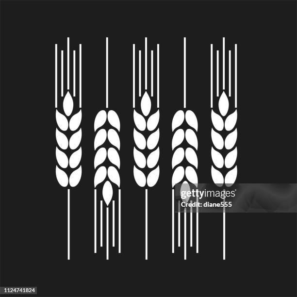 wheat design element - whole wheat stock illustrations