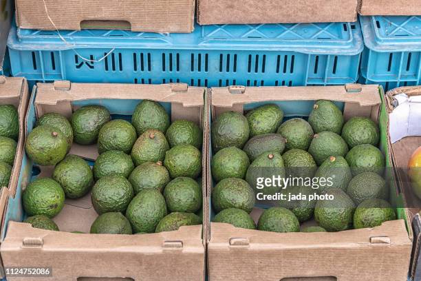 two cardboard boxes filled with avocados - fruit carton stock pictures, royalty-free photos & images