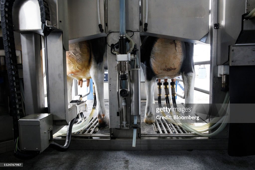 Inside The World Agriculture Expo