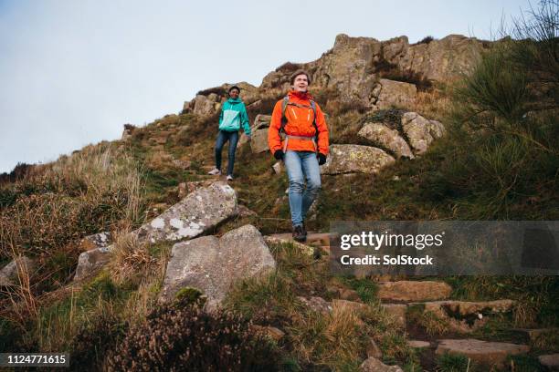 walking down steps in a national park - hadrians wall stock pictures, royalty-free photos & images