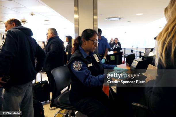 Flight Security 76 Us Flight Attendants Security Stock Photos, High-Res Pictures, and ...