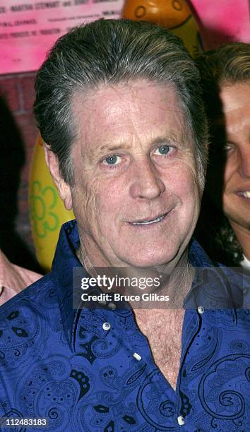 Brian Wilson during Brian Wilson Attends "Good Vibrations" on Broadway at Eugene O'Neill Theater in New York City, New York, United States.