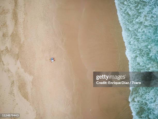 aerial afternoon naps on tallow beach - beach bird's eye perspective stock pictures, royalty-free photos & images