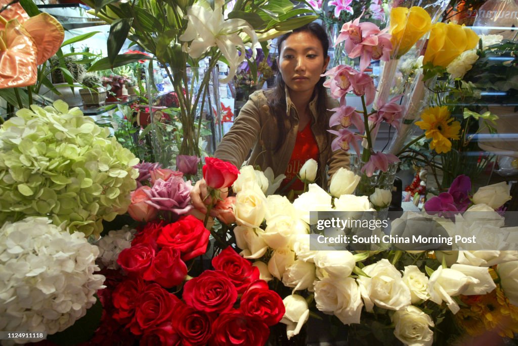 Tsang Ah-ping, staff of Carnation Florist shop prepare flowers to be sold on Valentine's Day. United Centre, Queensway. 07 February 2006