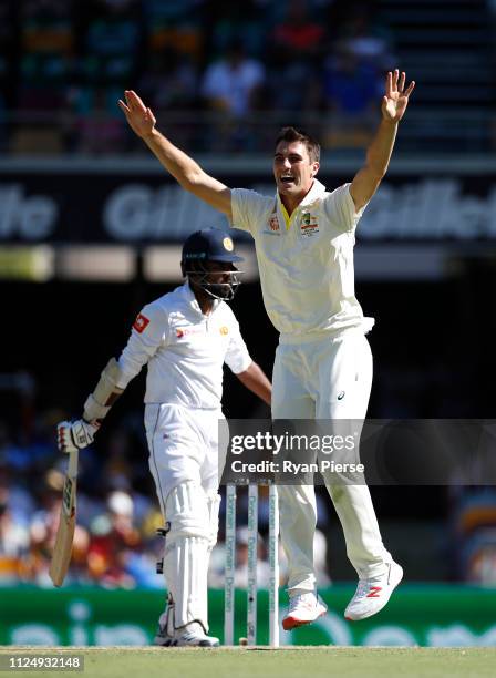 Pat Cummins of Australia celebrates after taking the wicket of Lahiru Thirimanne of Sri Lanka during day three of the First Test match between...