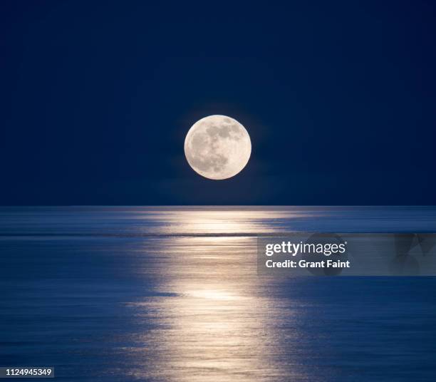 moonrise over sea. - 月 個照片及圖片檔