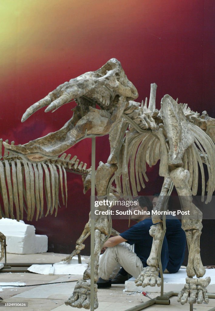 Staffs of Beijing Museum of Natural History take a break after assembling the fossil skeletons of an ancient mammal, Platybelodon danovi (foregraound), in an exhibition for public display at Olympian City, Tai Kok Tsui. 01 September 2006