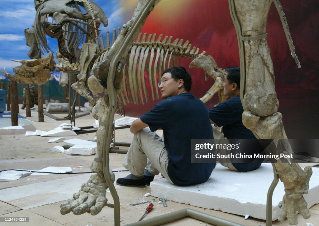 Staff of Beijing Museum of Natural History take a break after assembling the fossil skeletons of an ancient mammal, Platybelodon danovi (foregraound), in an exhibition for public display at Olympian City, Tai Kok Tsui. 01 September 2006