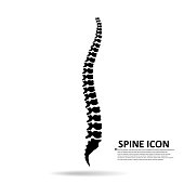 Vector human spine icon isolated silhouette illustration.