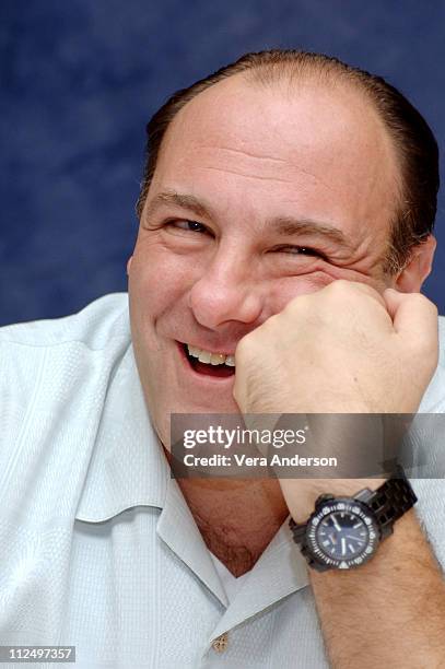 James Gandolfini during "The Sopranos" Press Conference with James Gandolfini, Michael Imperioli and Edie Falco at The Regency Hotel in New York...