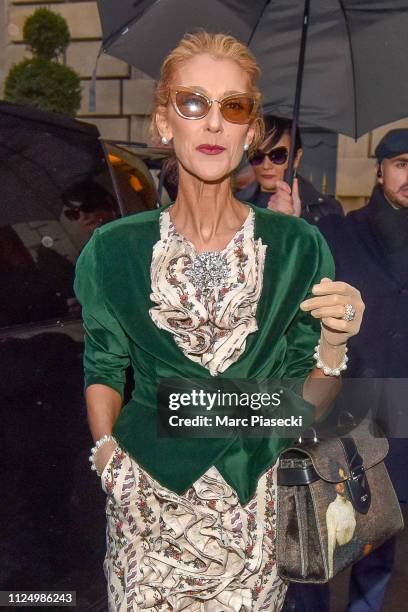 Singer Celine Dion is seen on January 25, 2019 in Paris, France.