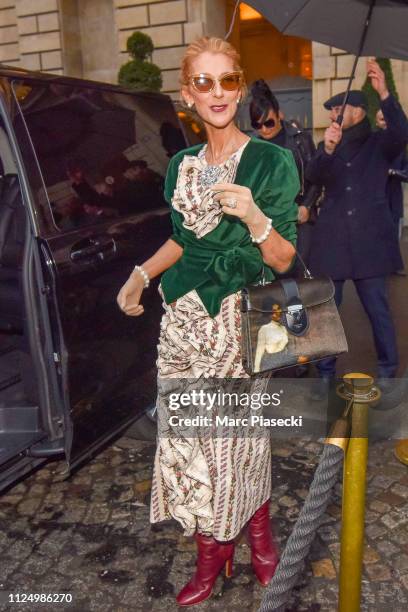 Singer Celine Dion is seen on January 25, 2019 in Paris, France.